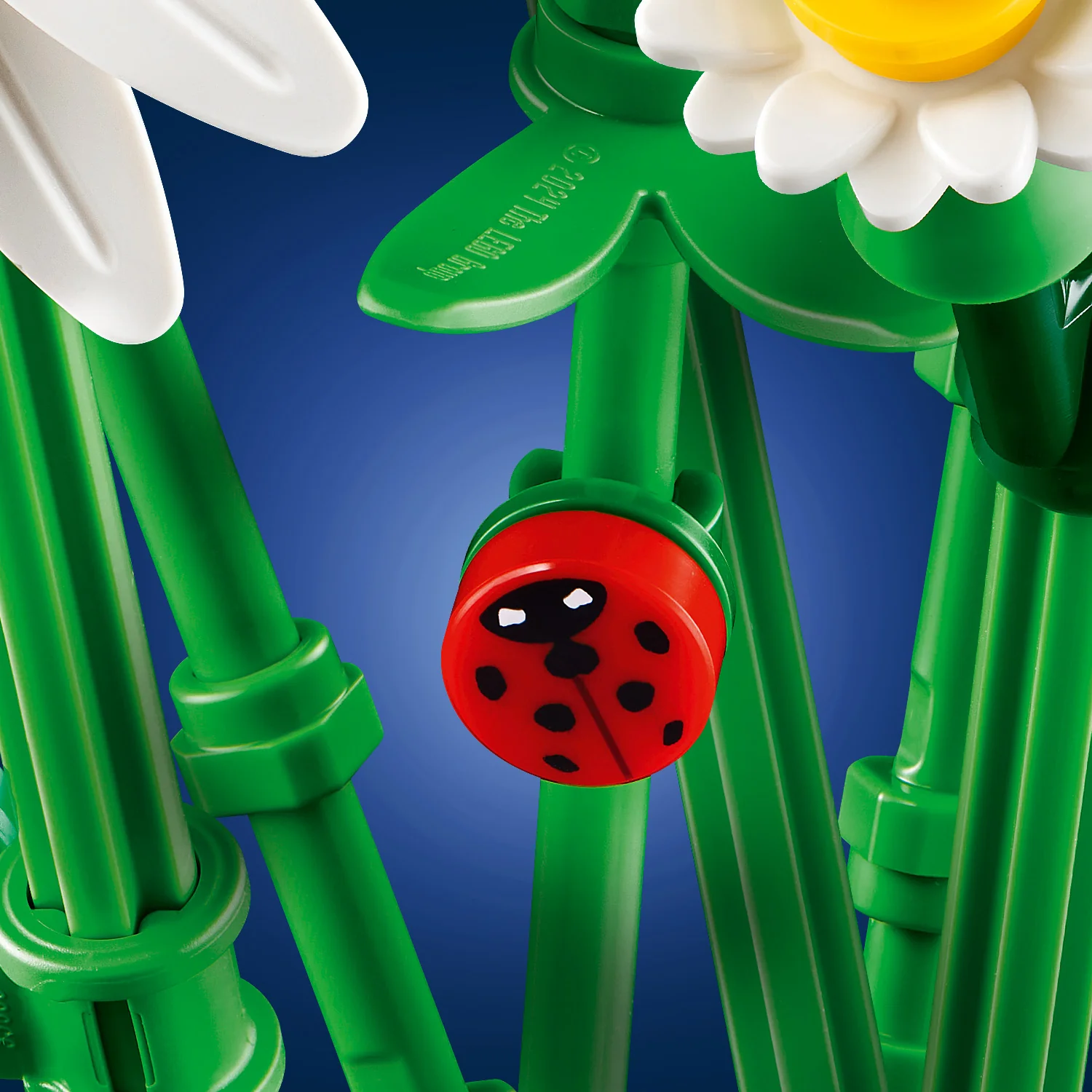 LEGO® Botanicals Daisies